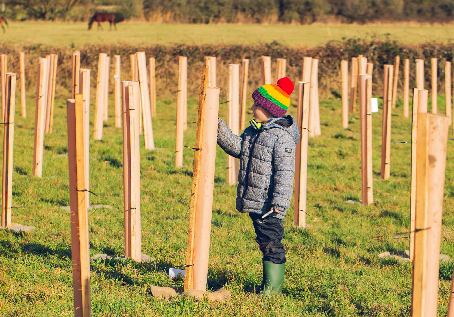 Child labelling newly planted tree