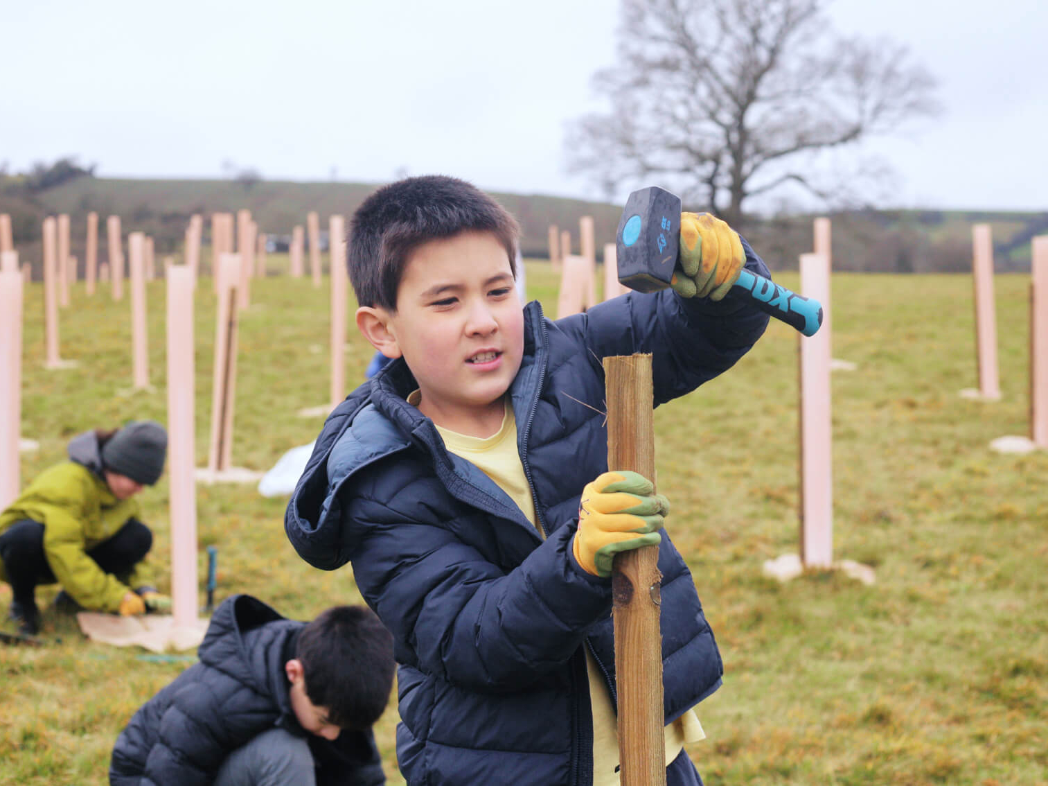 Child putting a tree stake in the ground